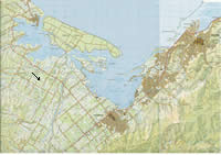 Map of Nelson, New Zealand